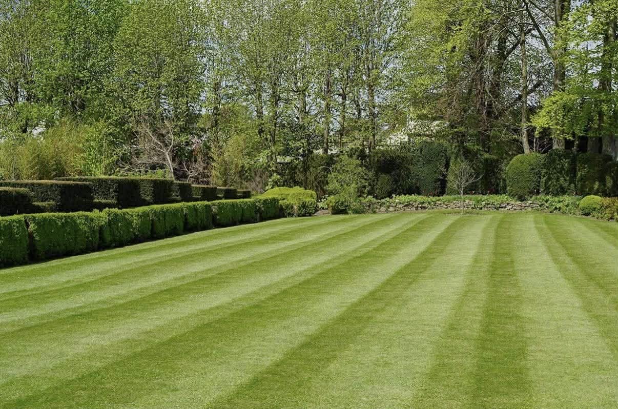 Lawn Care